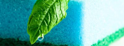 puruspro-img-1 puruspro-img-1