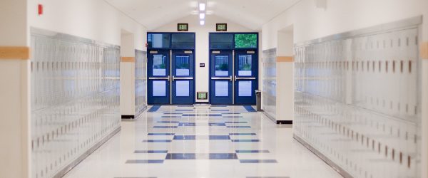 puruspro-img-14 puruspro-img-14